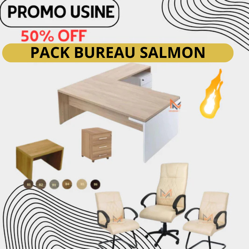 ENSEMBLE BUREAU SALMON Réf.A-2025-1314