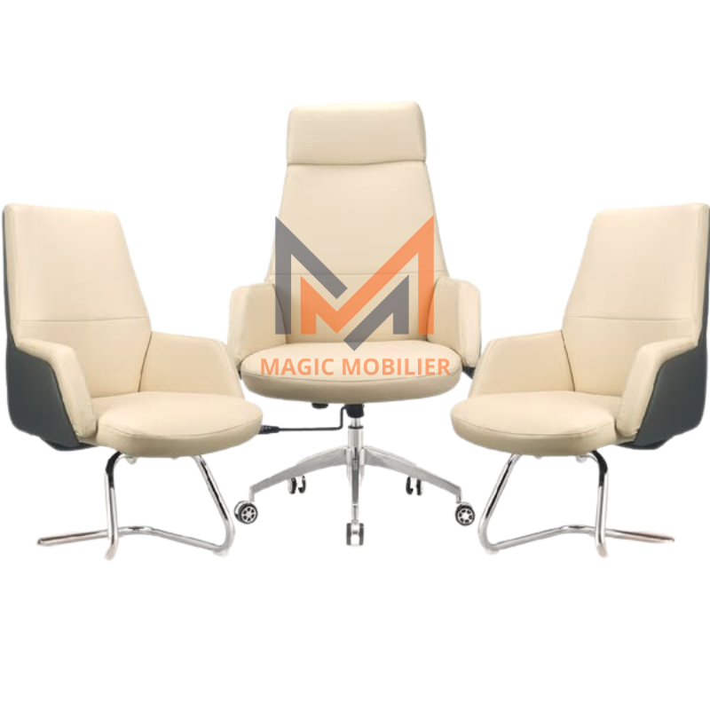 Ensemble Fauteuil REVOL Réf. A0329