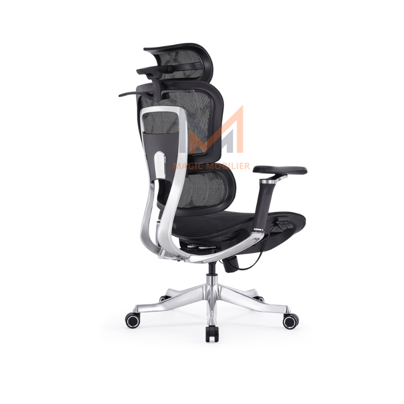 Fauteuil président ergonomique FANDI HIPPO-A