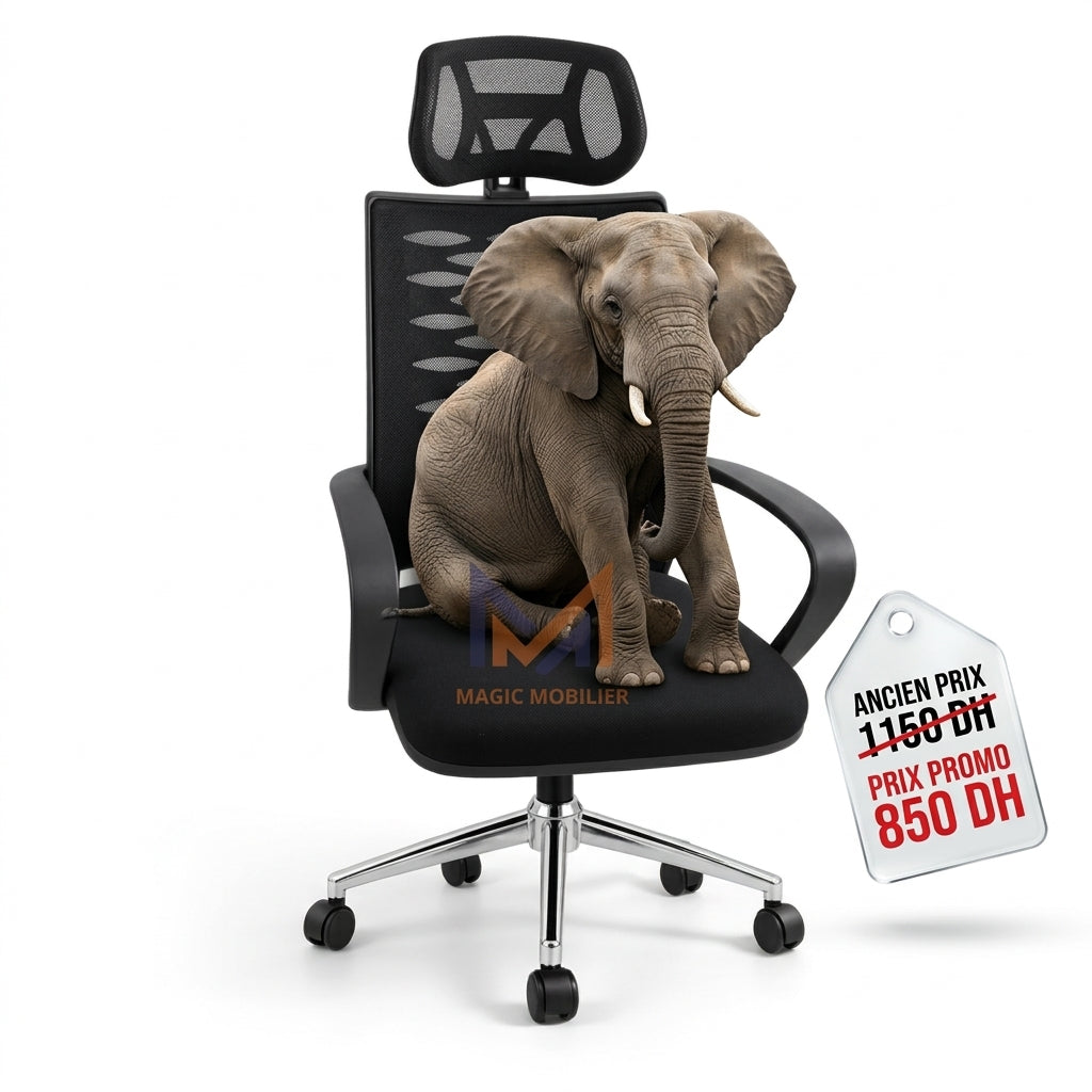 Fauteuil président ergonomique ATLAS  Réf A-2026-2267
