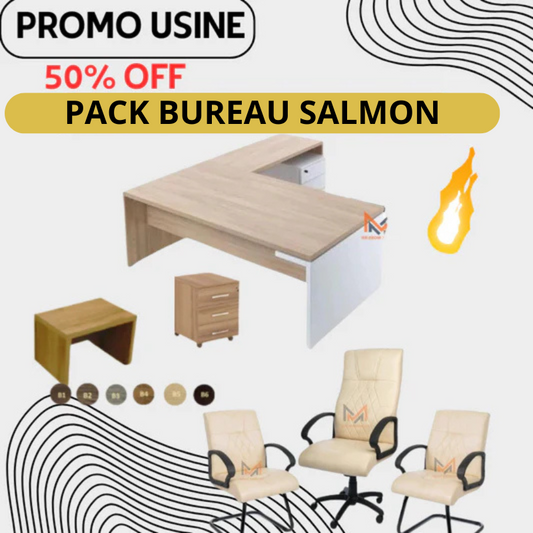 ENSEMBLE BUREAU SALMON Réf.A-2025-1314